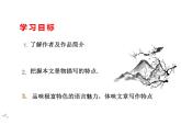 第10课《三峡》课件2023-2024学年统编版语文八年级上册