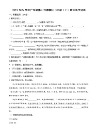 广东省佛山市禅城区2023-2024学年七年级上学期期末语文试题（原卷版+解析版）