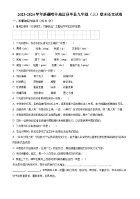 新疆喀什地区莎车县2023-2024学年九年级上学期期末语文试题（原卷版+解析版）
