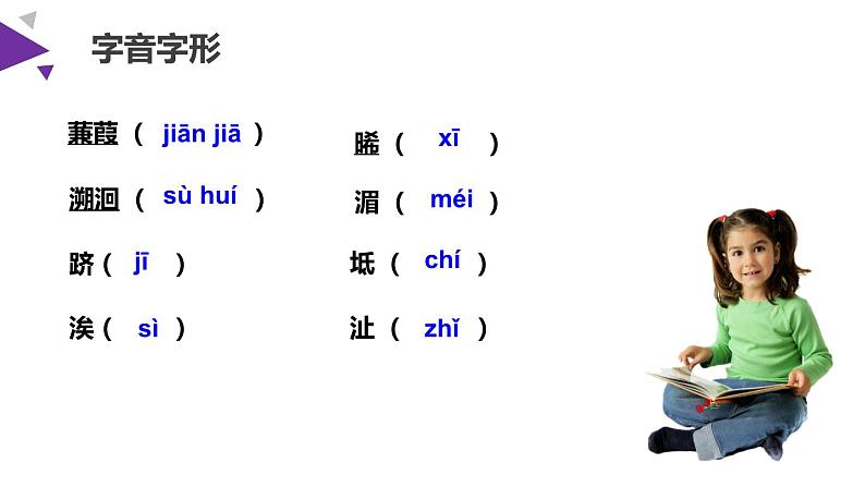 蒹葭PPT课件3第3页