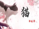 第16课《猫》课件+++2023—2024学年统编版语文七年级上册