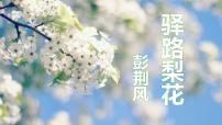 人教部编版七年级下册驿路梨花教课ppt课件
