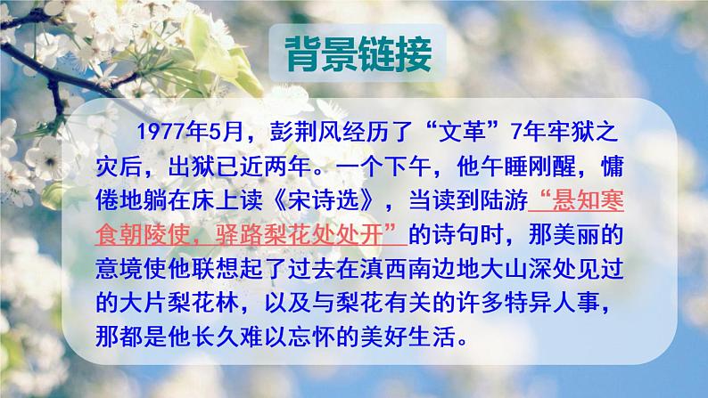 第15课《驿路梨花》课件-2023-2024学年统编版语文七年级下册第2页