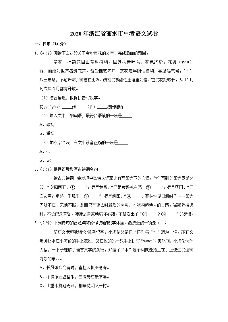 2020年浙江省丽水市中考语文试卷01