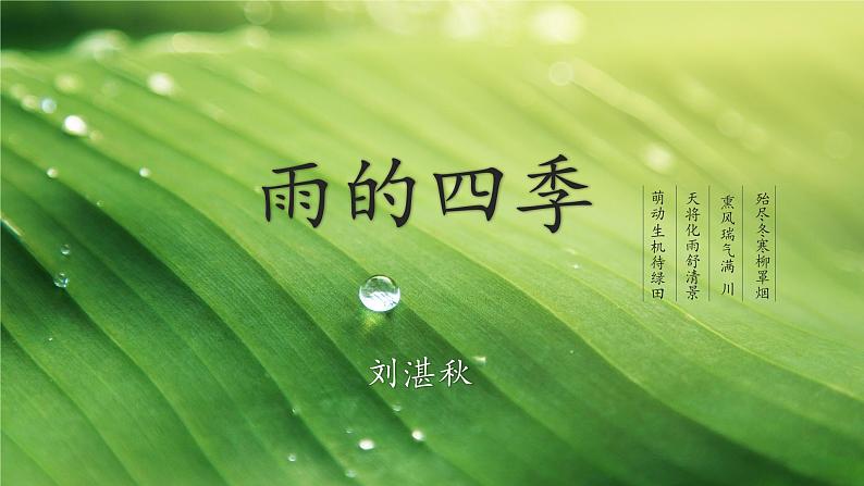 03课《雨的四季》教学课件第1页