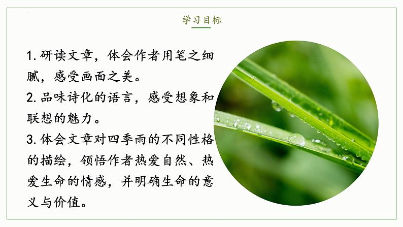 03课《雨的四季》教学课件第3页