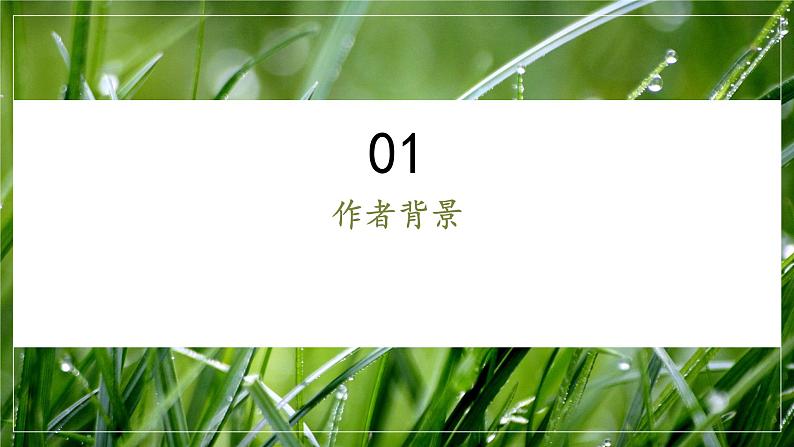 03课《雨的四季》教学课件第4页