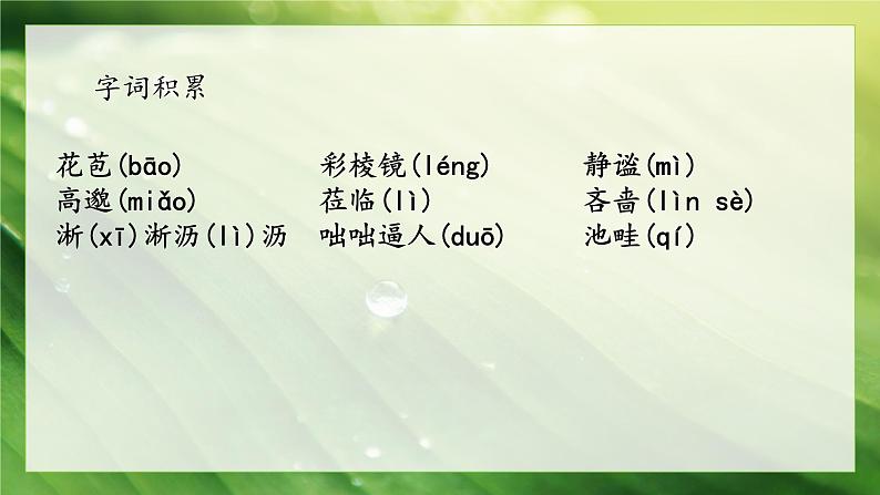 03课《雨的四季》教学课件第7页