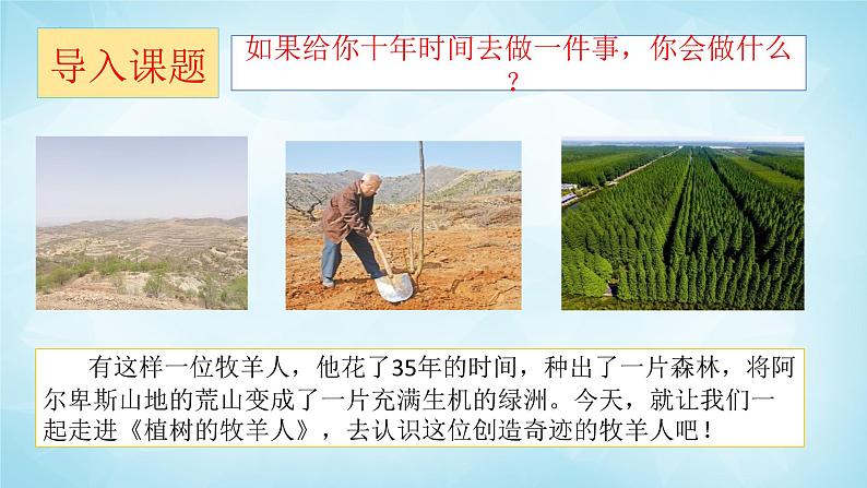 13课《植树的牧羊人》教学课件第2页