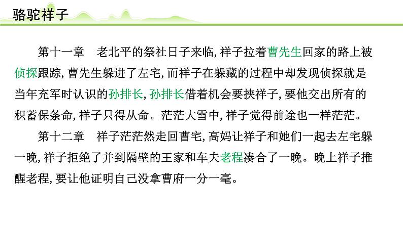 （三）《骆驼祥子》课件---2024年中考语文常考名著复习第8页