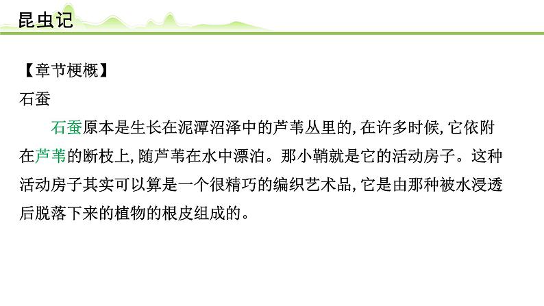 （十二）《昆虫记》课件---2024年中考语文常考名著复习第3页