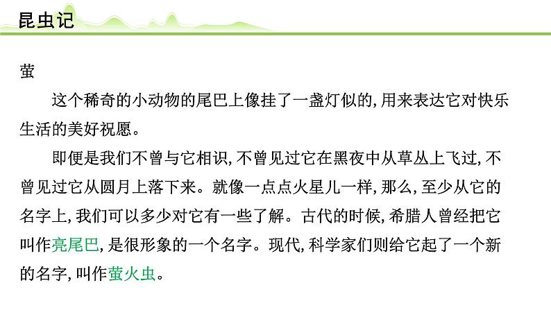 （十二）《昆虫记》课件---2024年中考语文常考名著复习第8页