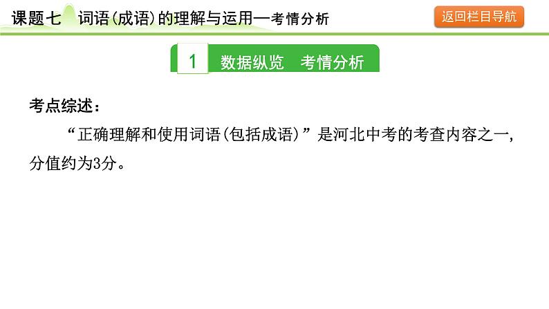 9.课题七 词语(成语)的理解与运用课件---2024年中考语文一轮复习第3页