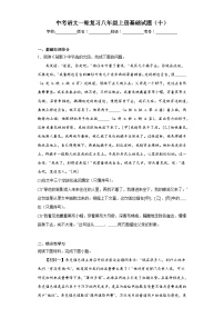 中考语文一轮复习八年级上册基础试题（十）