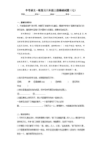中考语文一轮复习八年级上册基础试题（七）