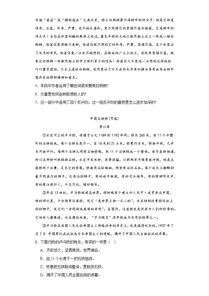 中考语文一轮复习八年级上册基础试题（二）第3页