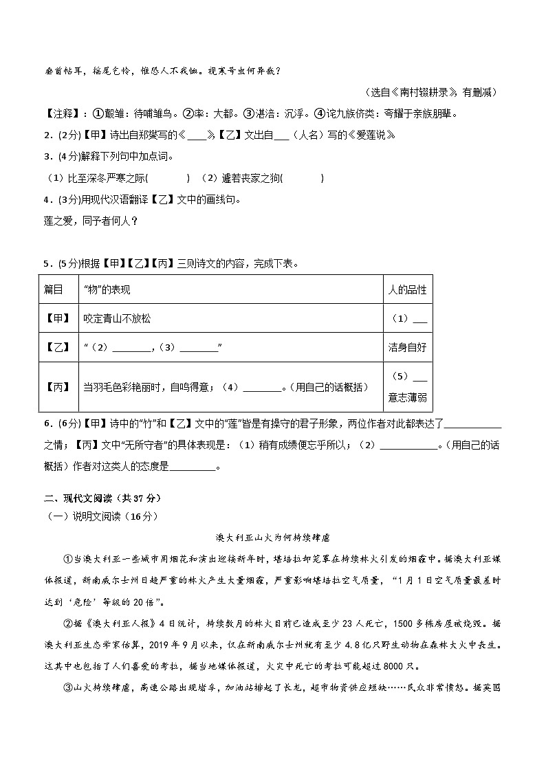 专题12：中考仿真模拟测试卷（B卷）-2024中考语文重难考点通关训练与模拟测试（上海专用）（含解析）第2页