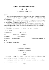 专题13：中考仿真模拟测试卷（C卷）-2024中考语文重难考点通关训练与模拟测试（含解析）
