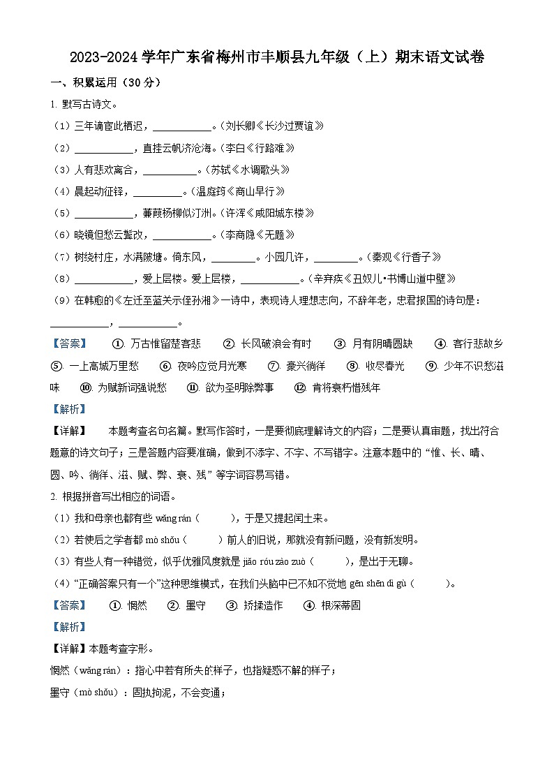 广东省梅州市丰顺县2023-2024学年九年级上学期期末语文试题（原卷版+解析版）01