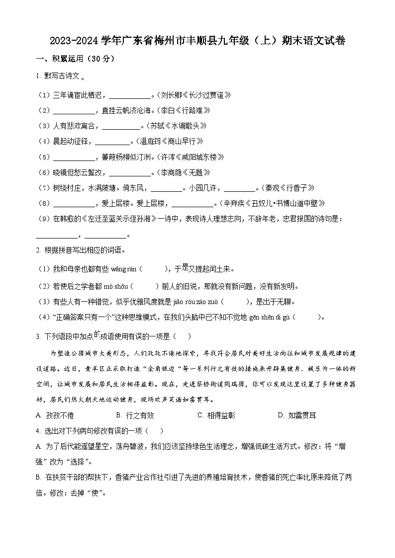 广东省梅州市丰顺县2023-2024学年九年级上学期期末语文试题（原卷版+解析版）01