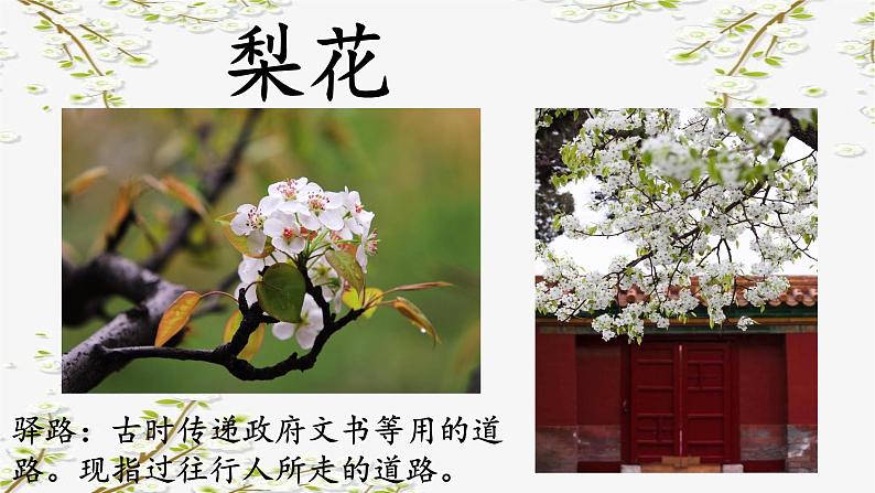 第15课《驿路梨花》课件-2023-2024学年统编版语文七年级下册02
