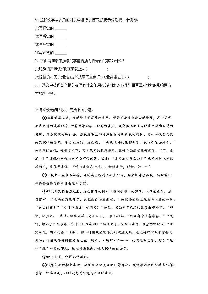 中考语文一轮复习七年级上册基础试题（九）第3页