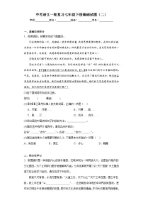 中考语文一轮复习七年级下册基础试题（二）