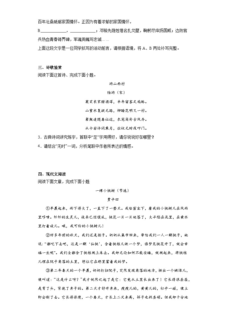 中考语文一轮复习七年级下册基础试题（二）第2页