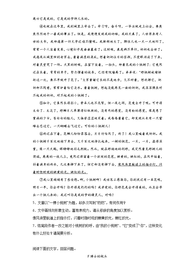 中考语文一轮复习七年级下册基础试题（二）第3页