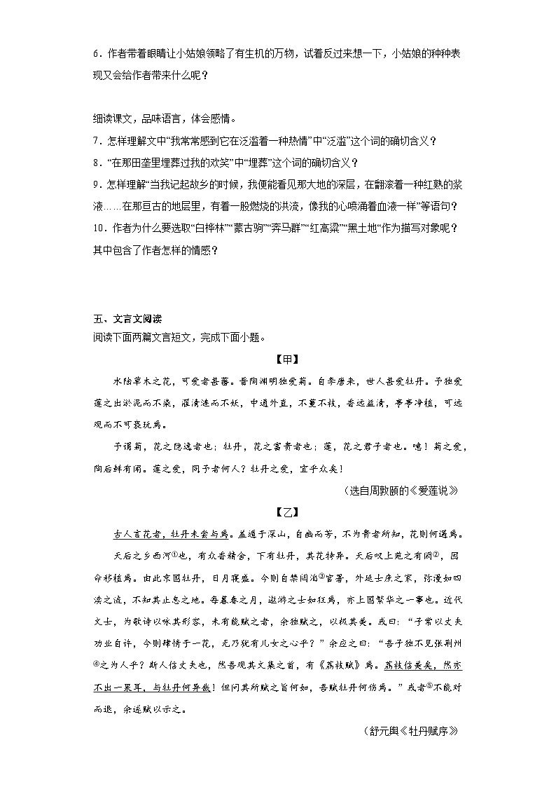 中考语文一轮复习七年级下册基础试题（八）第3页