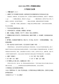 河南省鹤壁市浚县2023-2024学年八年级上学期期末语文试题（原卷版+解析版）