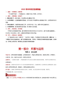 最新中考语文总复习真题探究与变式训练  专题10 语言运用 （全国通用）