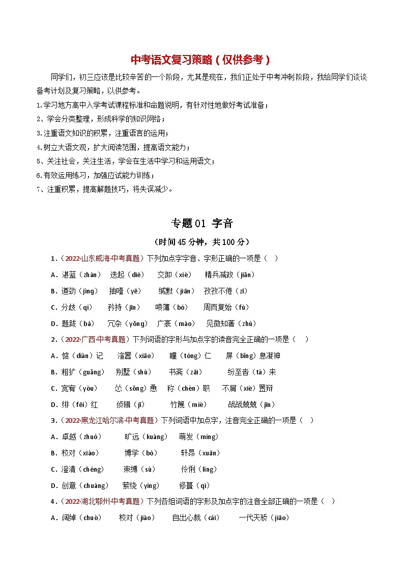 最新中考语文一轮复习讲练测  专题01 字音（测试）01