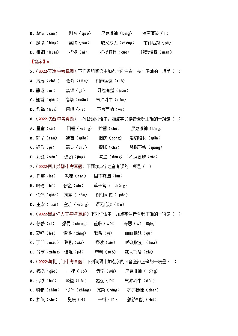 最新中考语文一轮复习讲练测  专题01 字音（测试）02