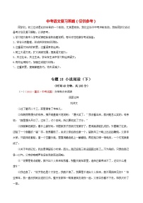最新中考语文一轮复习讲练测  专题18 小说阅读（下）（测试）