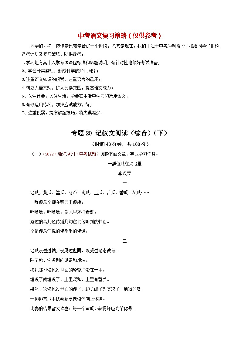 最新中考语文一轮复习讲练测  专题20  记叙文阅读（综合）（下）（测试）01