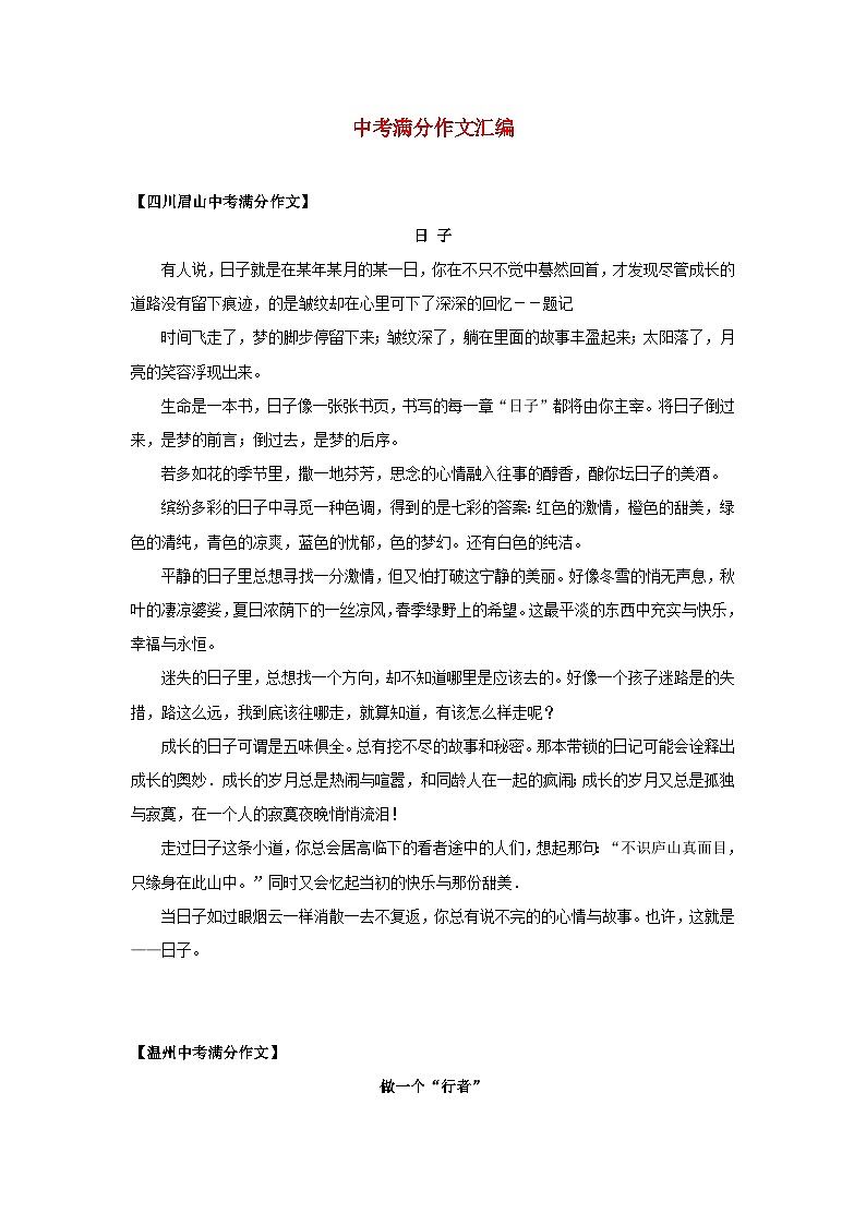 中考语文总复习 专项复习资料 满分作文最新汇总素材第1页