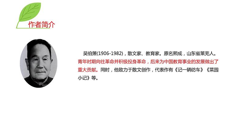 4.《灯笼》ppt课件第6页