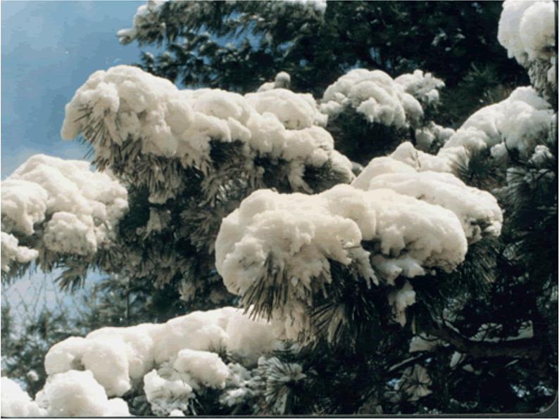 （上课课件）人教版九年级上册语文1《沁园春·雪》（2）第4页