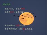 （上课课件）人教版九年级上册语文4《乡愁》 (2)