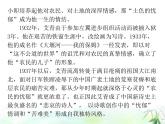 （上課課件）人教版九年級上冊語文 名著導(dǎo)讀（一）《艾青詩選》（2）
