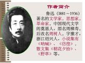 （上课课件）人教版九年级上册语文15《故乡》 (3)