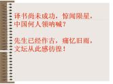 （上课课件）人教版九年级上册语文15《故乡》 (3)