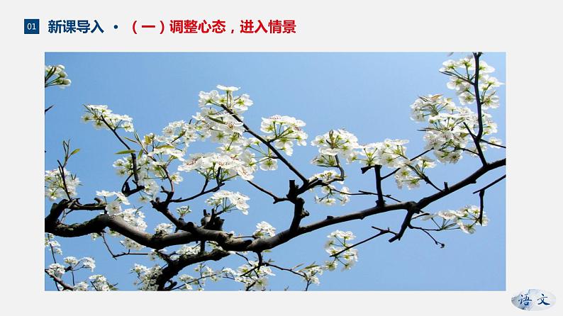 （上课课件）人教版七年级上册语文1《春》 (4)05