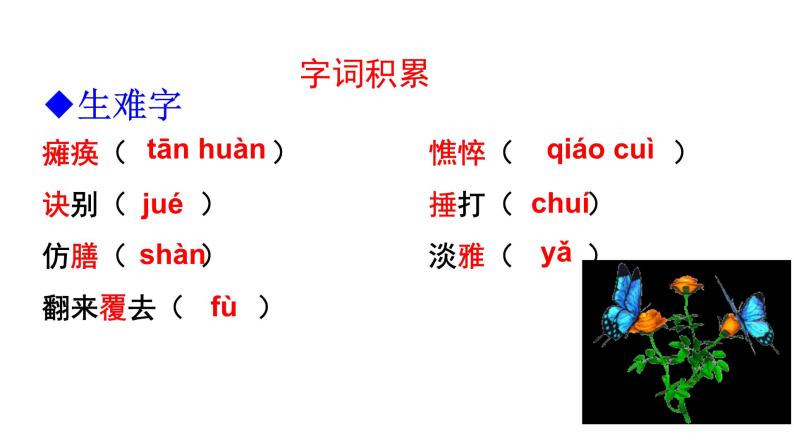 （上课课件）人教版七年级上册语文5《秋天的怀念》 (3)04