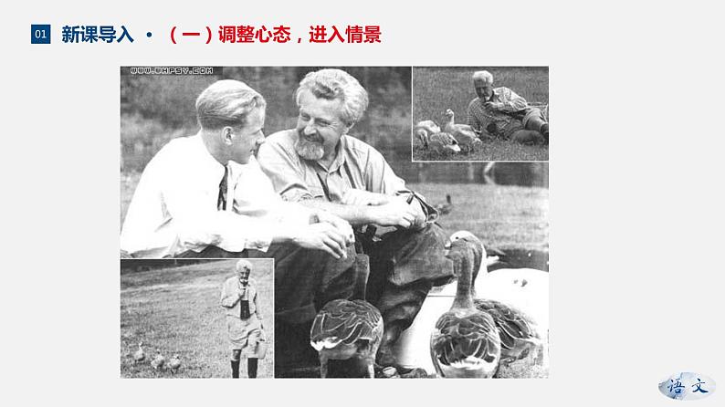 （上课课件）人教版七年级上册语文17《动物笑谈》 (3)04