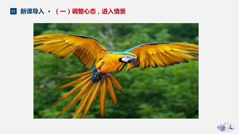 （上课课件）人教版七年级上册语文17《动物笑谈》 (3)06