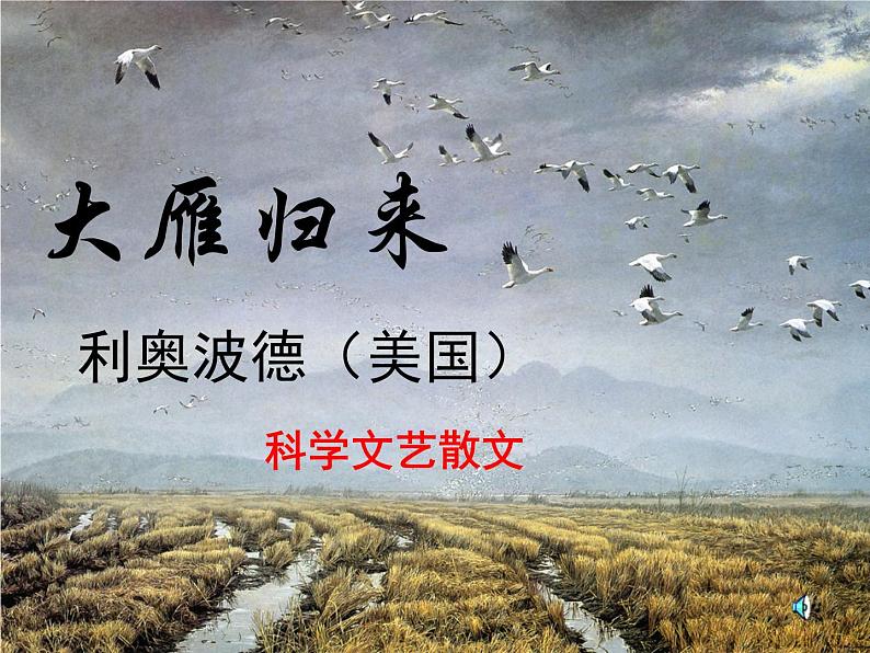 （教案课件 ）人教版八年级下册语文同步教案：7《大雁归来》第1页