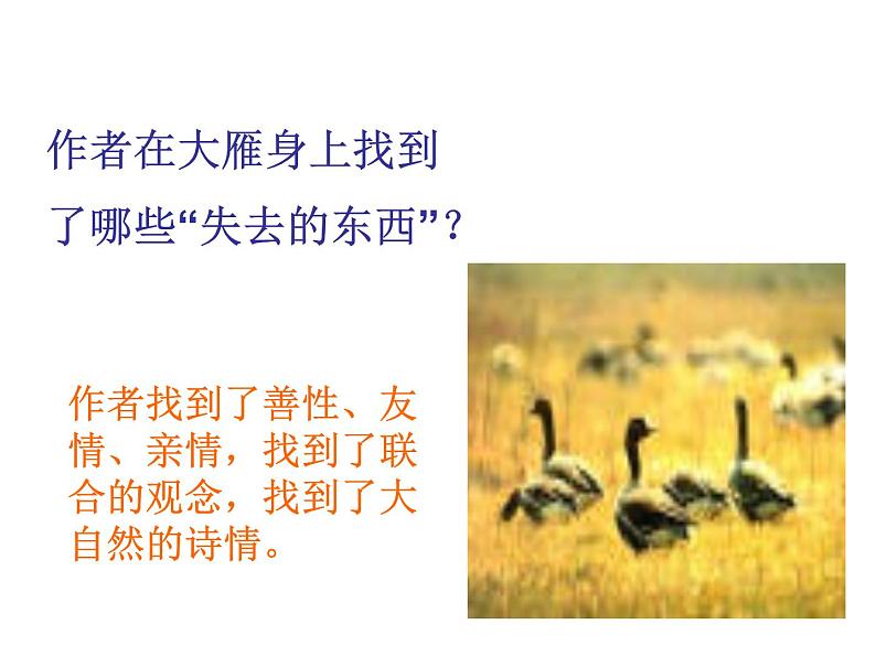 （教案课件 ）人教版八年级下册语文同步教案：7《大雁归来》第7页