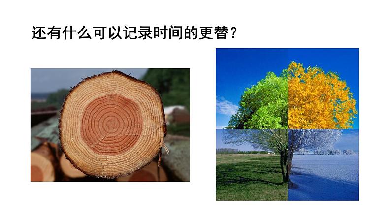 （教案课件 ）人教版八年级下册语文同步教案：8《时间的脚印》第3页